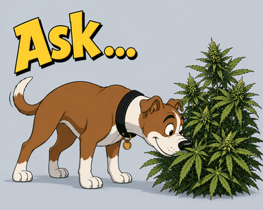 Ask