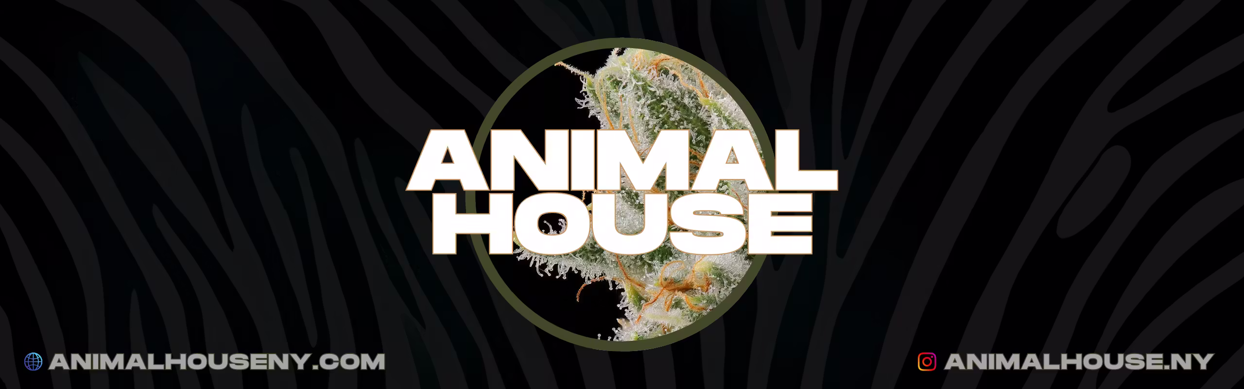 Animal House