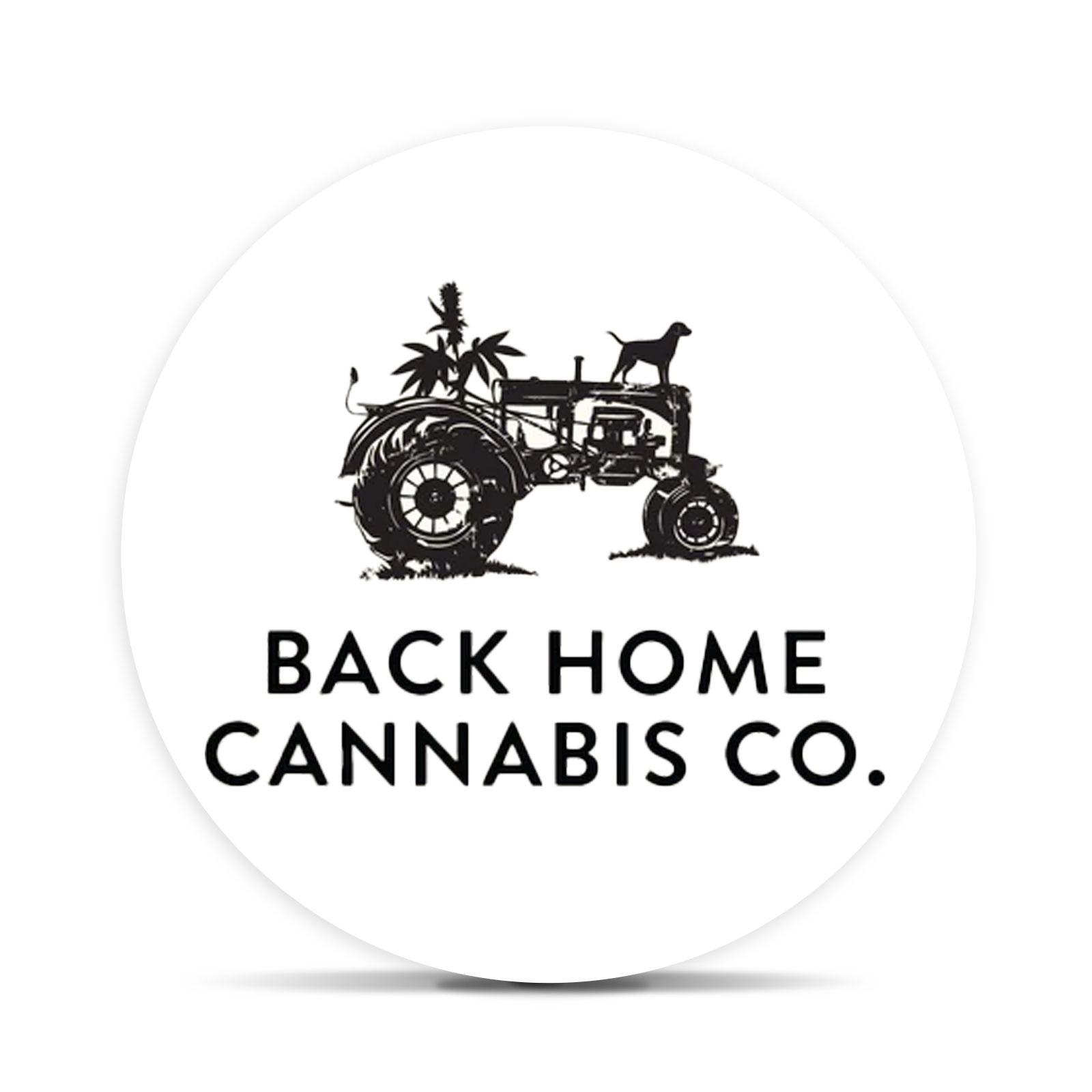 Back Home Cannabis Co.