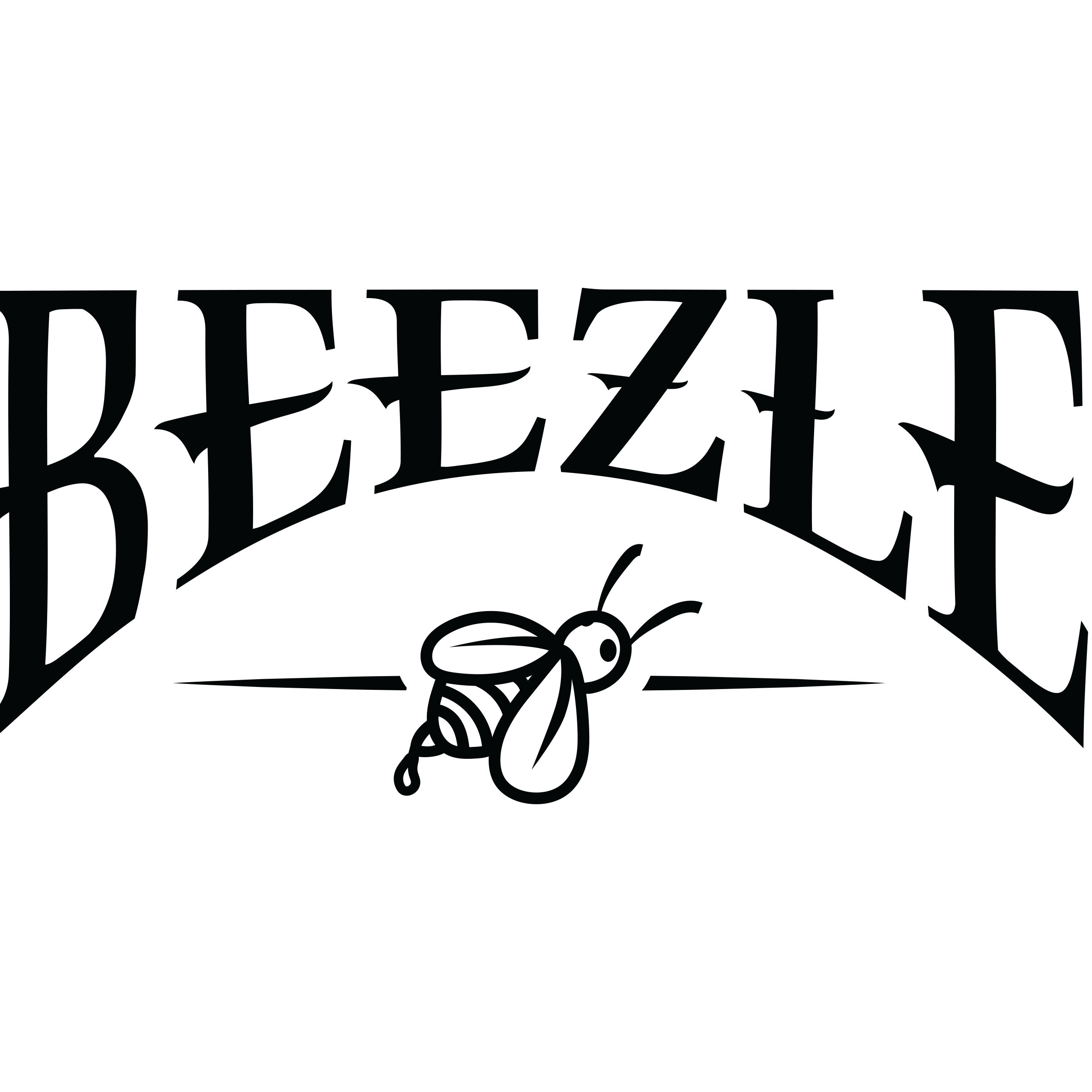 Beezle Maryland