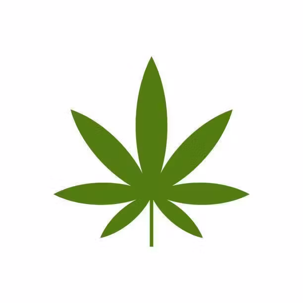 Better Bee Cannabis