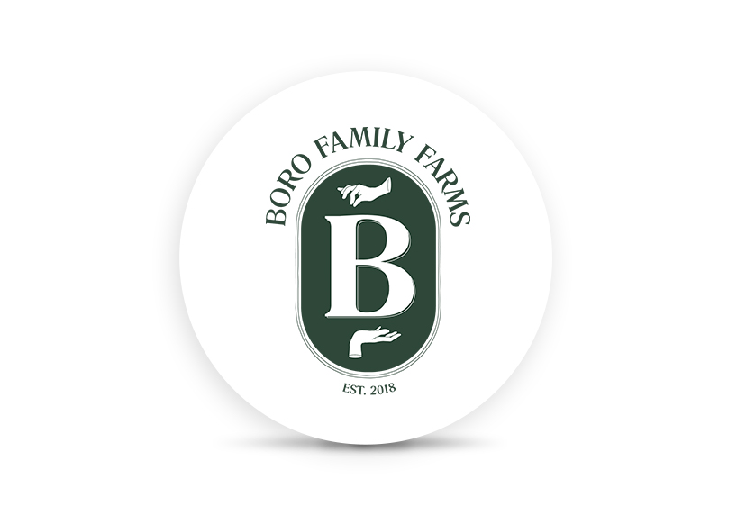 Boro Family
