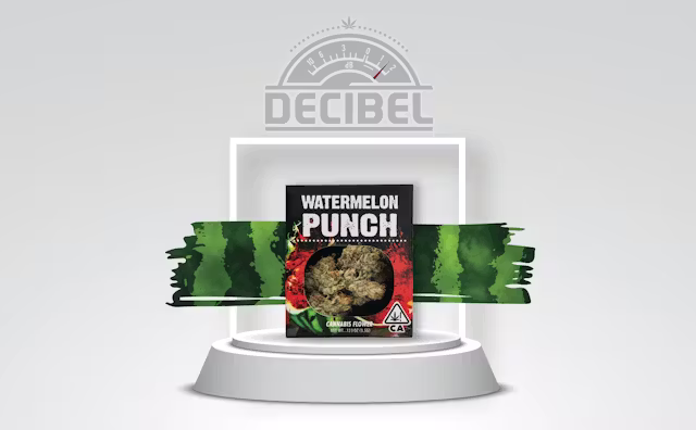 Decibel Gardens