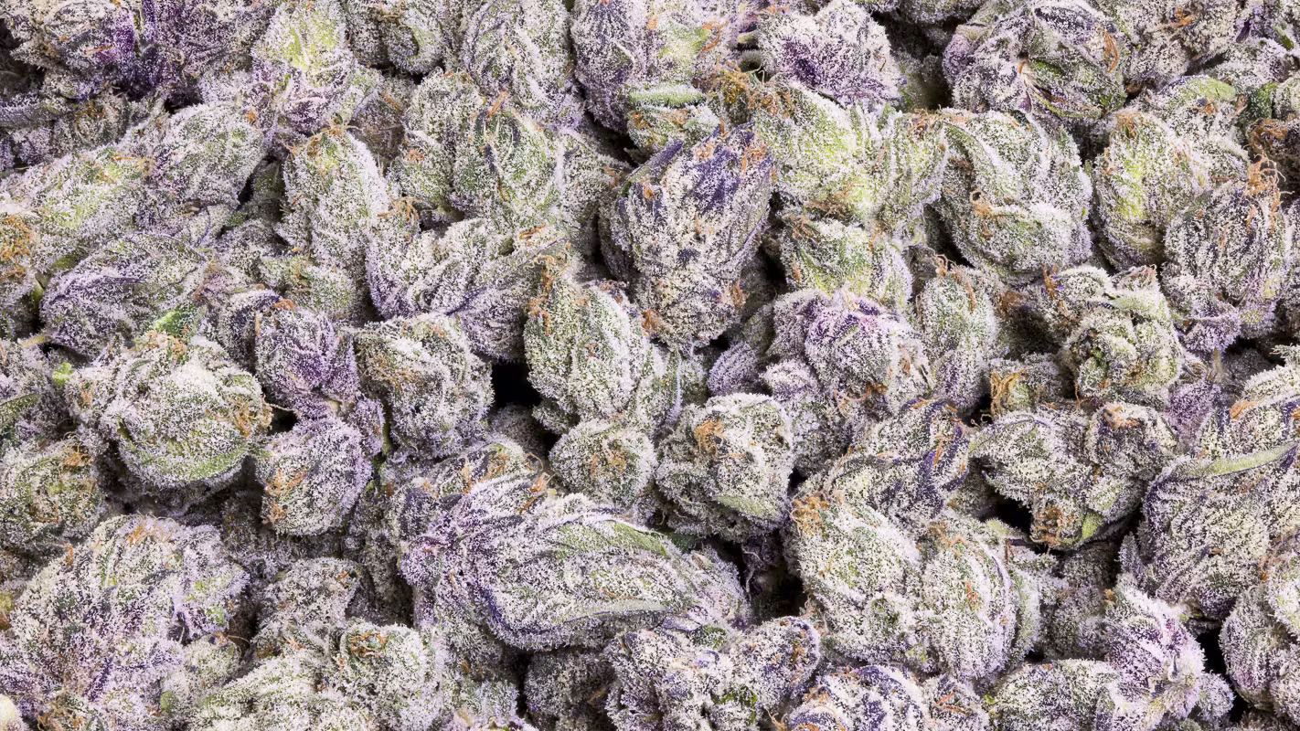 Duffy$