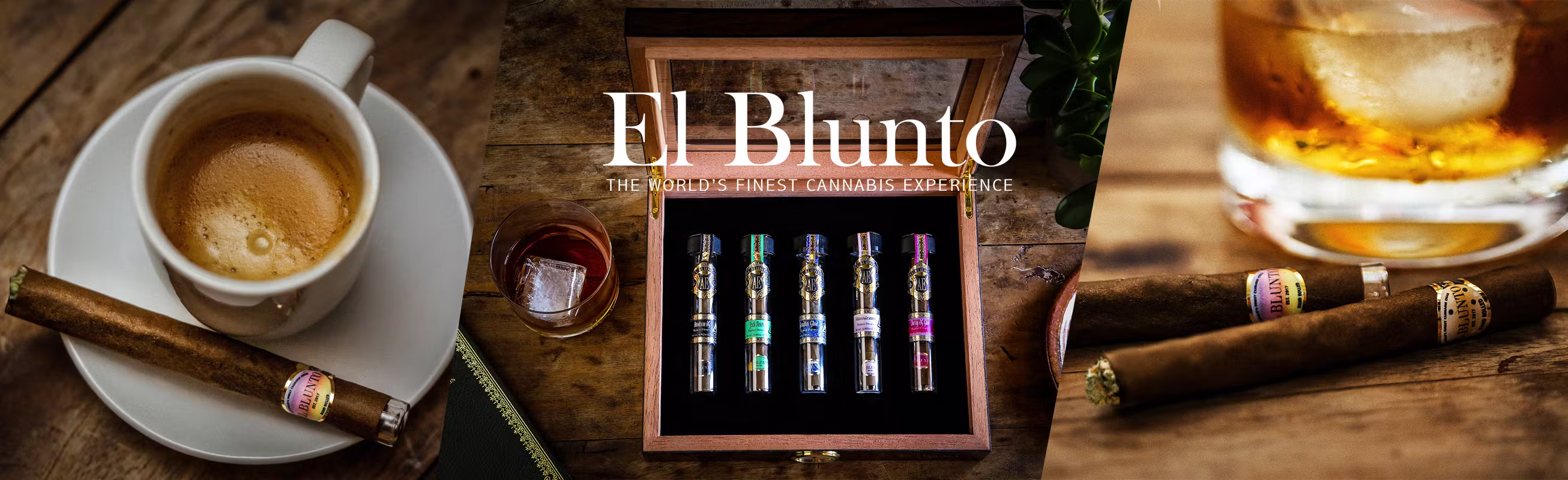 El Blunto by Albert Einstone's