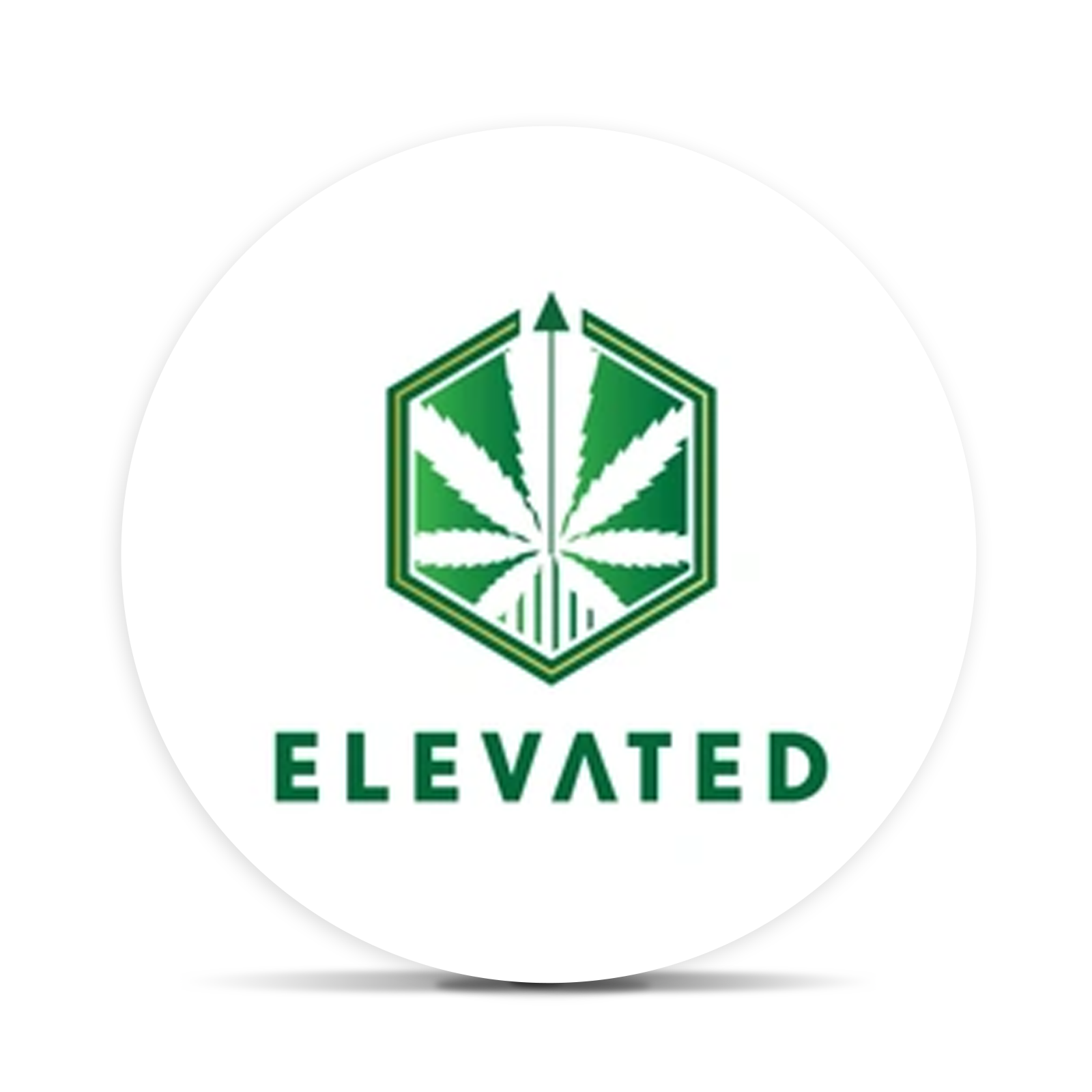 Elevated