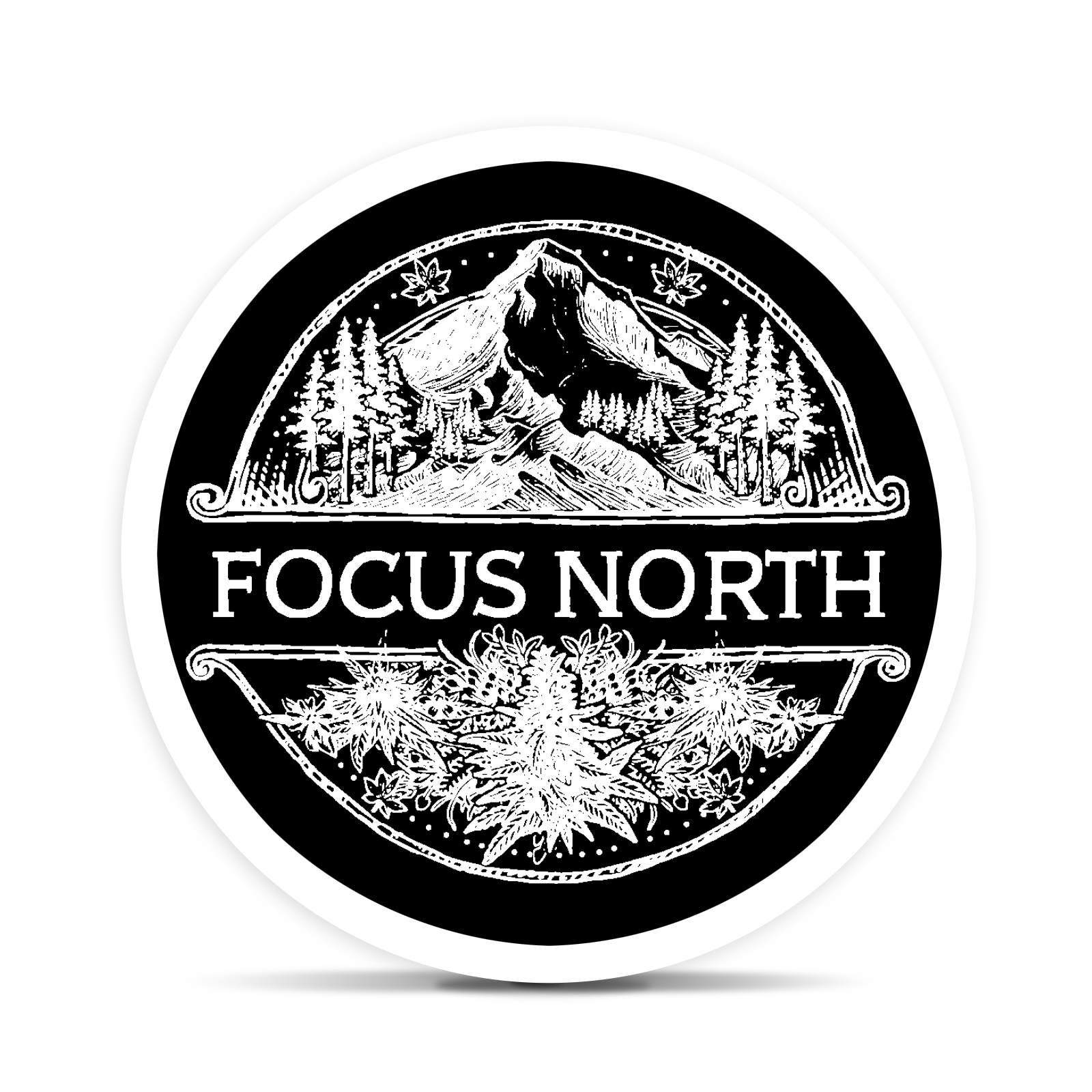Focus North Gardens