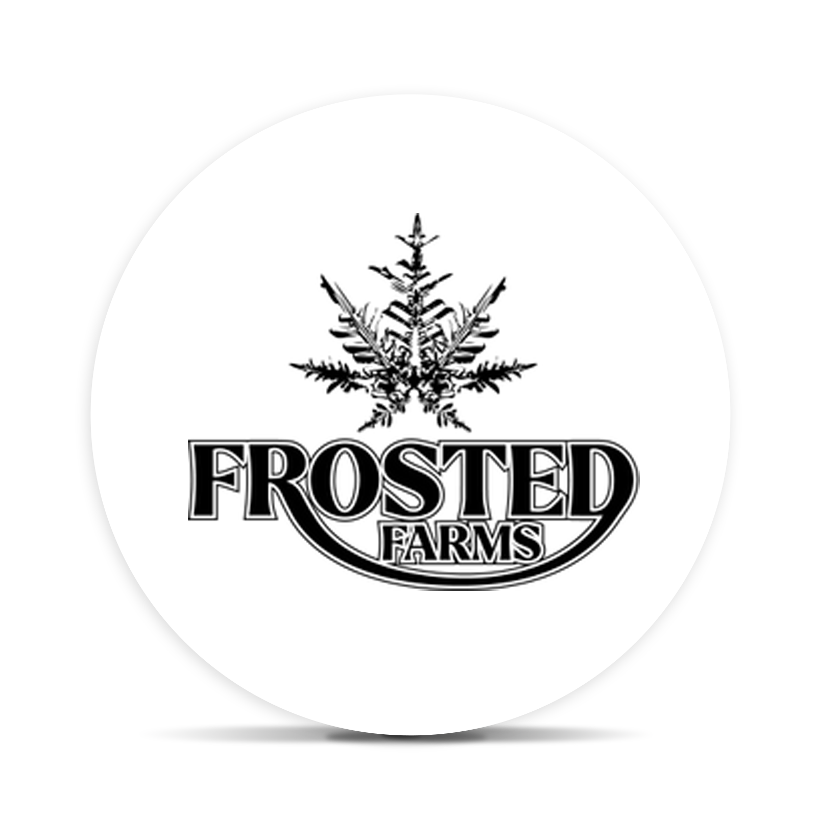 Frosted