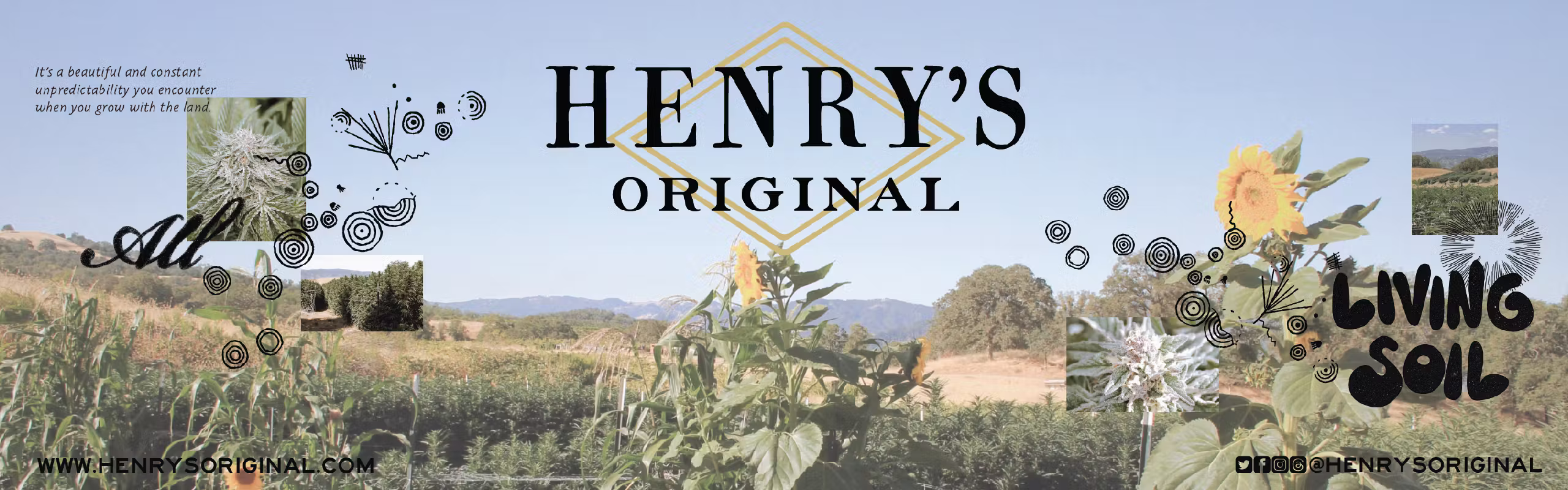 Henry's Original