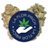La Flor De Prich