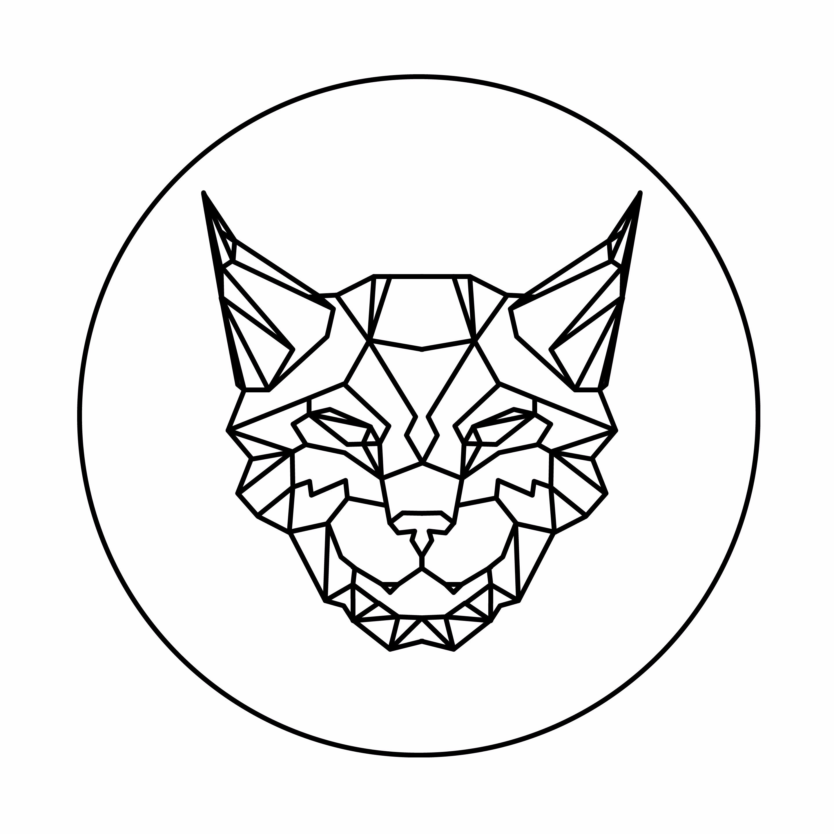 Linx Vapor