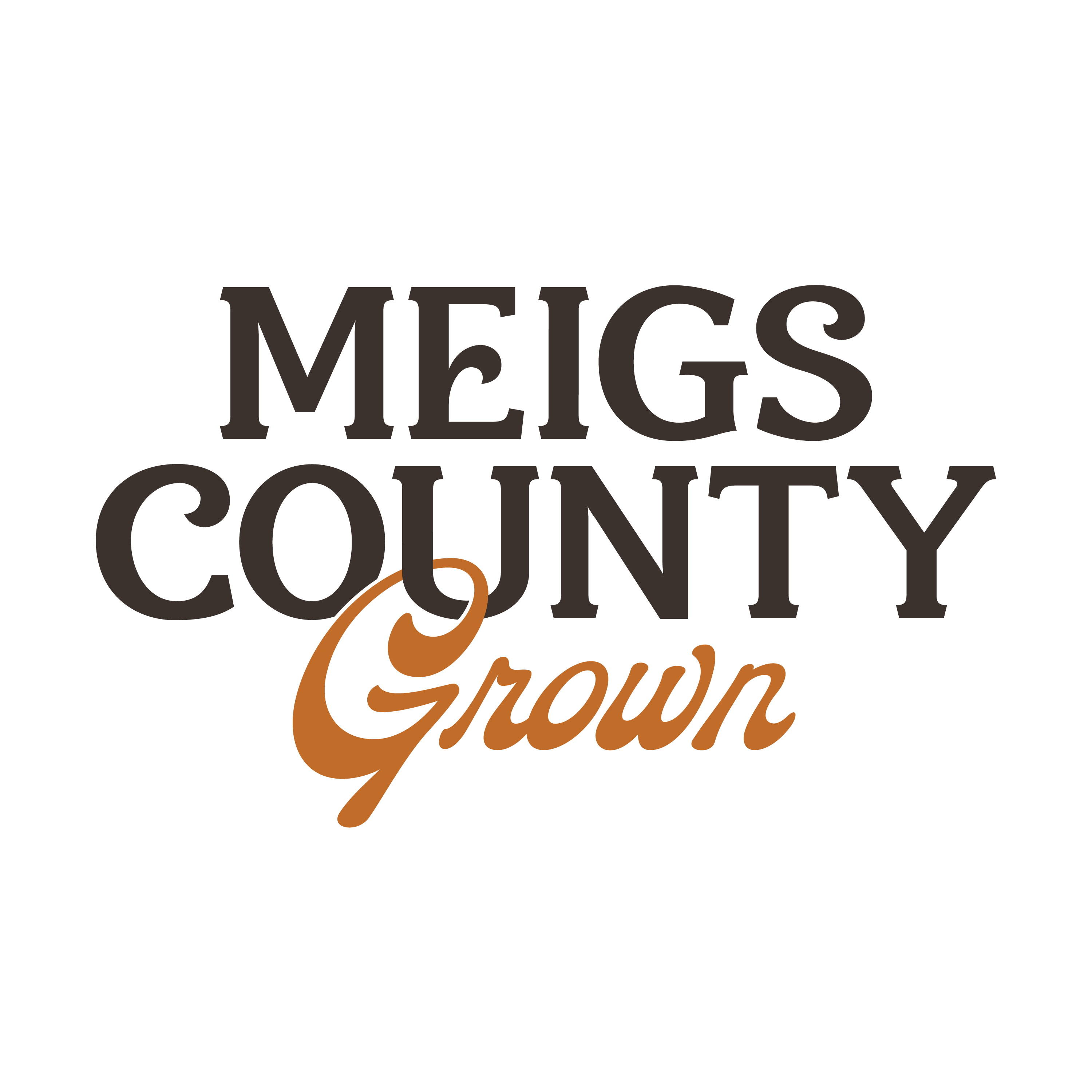 Meigs County