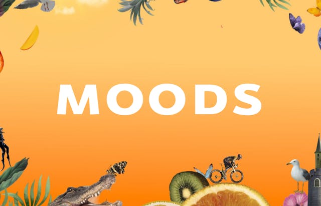 MOODS Cannabis