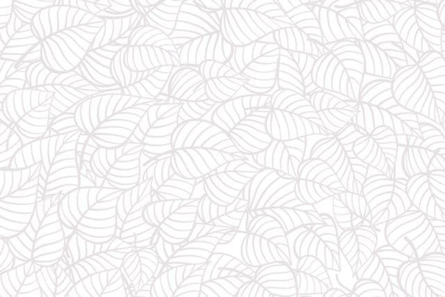 MÜV Cannabis Infused Products