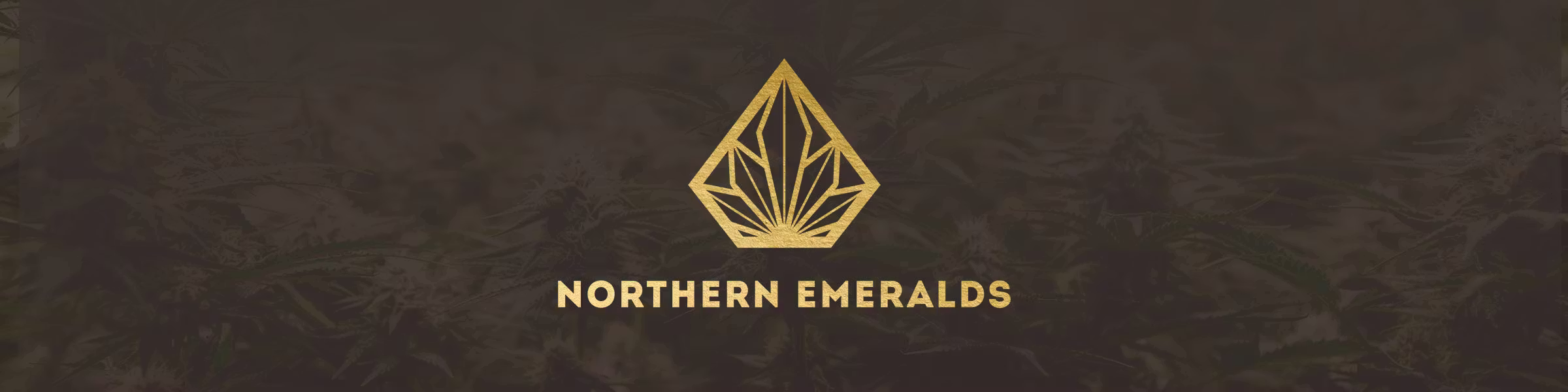 Northern Emeralds NM