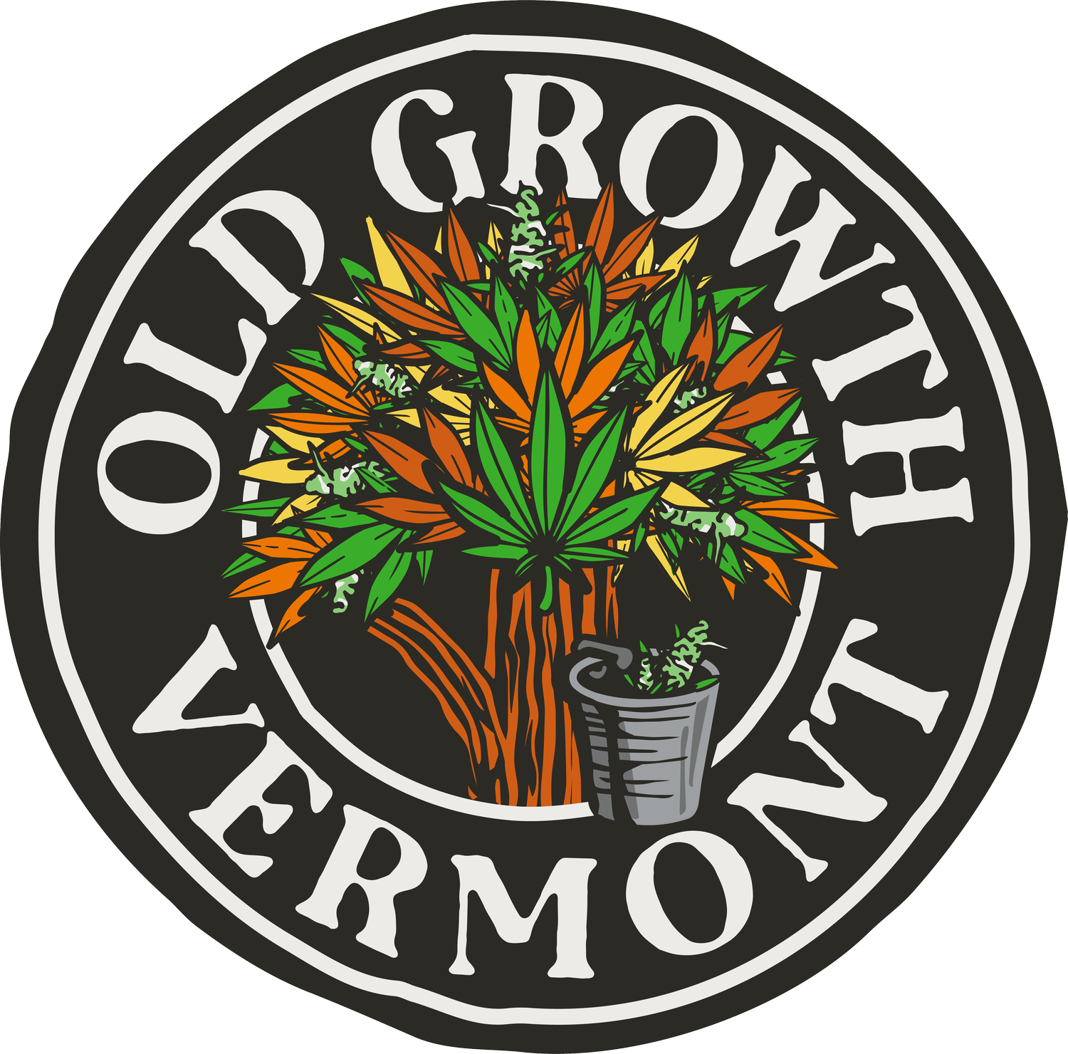 Old Growth Vermont