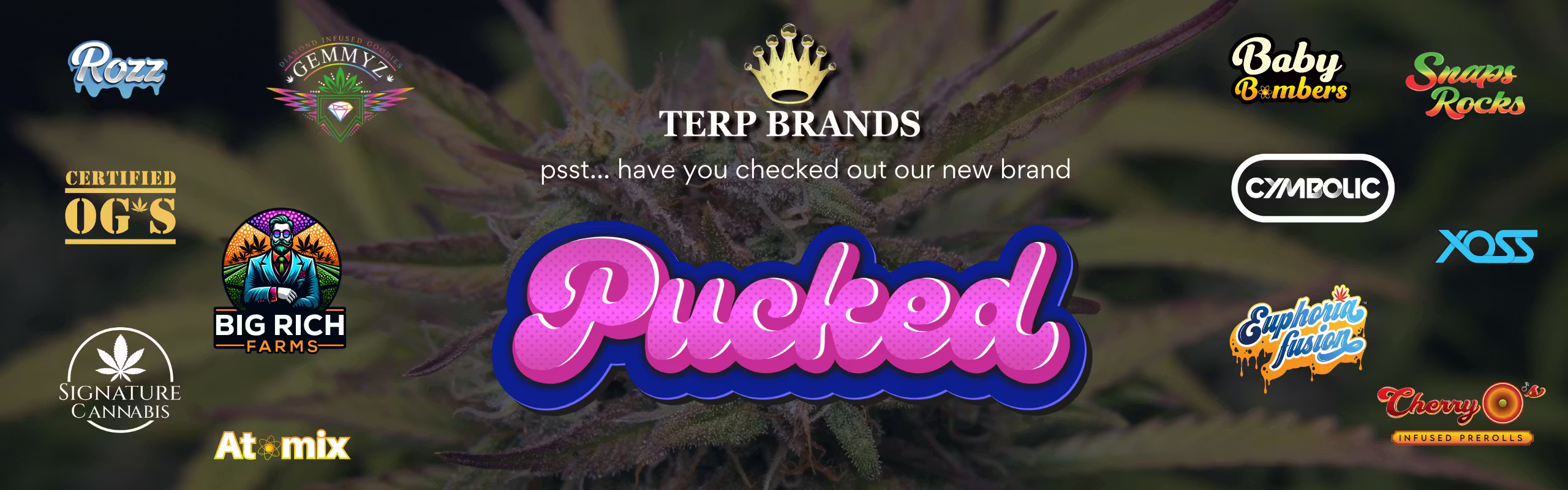 Terp Brands