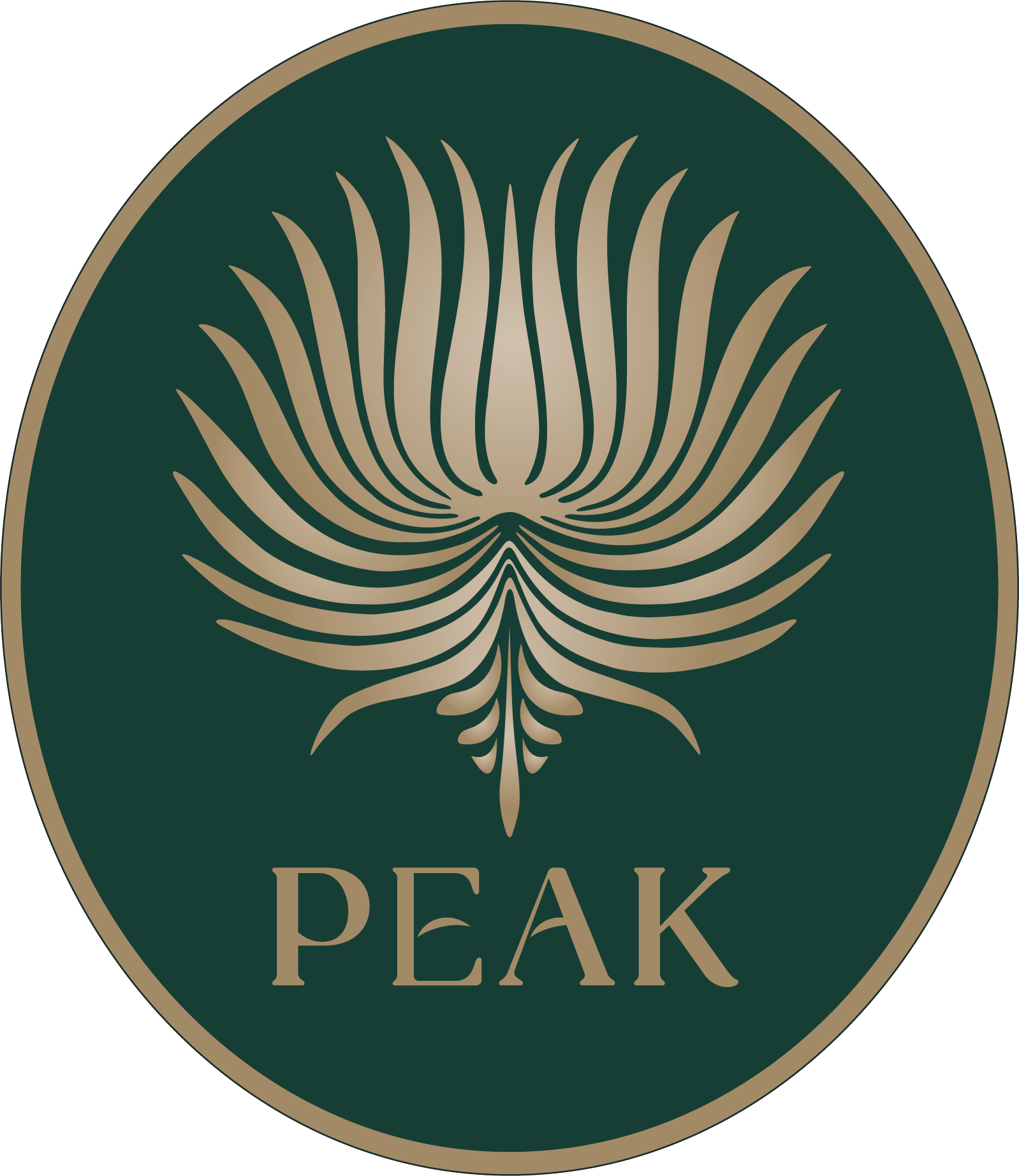 Peak
