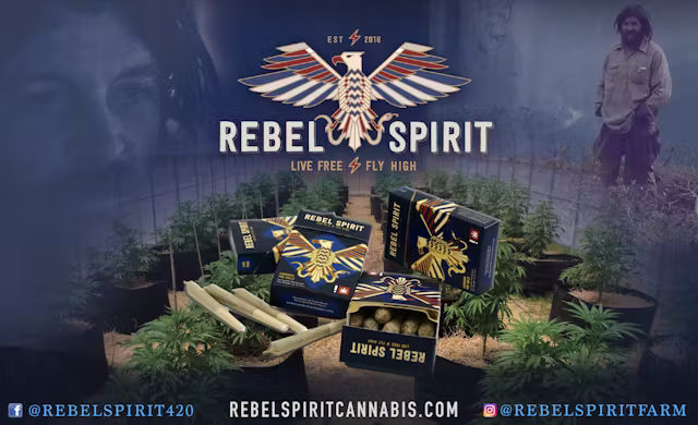 Rebel Spirit
