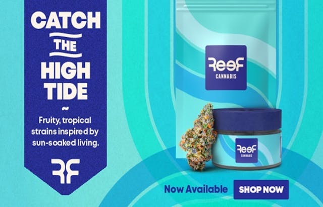 REEF Cannabis