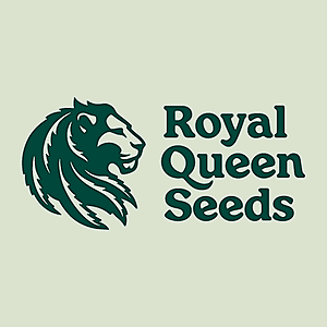 Royal Queen Seeds
