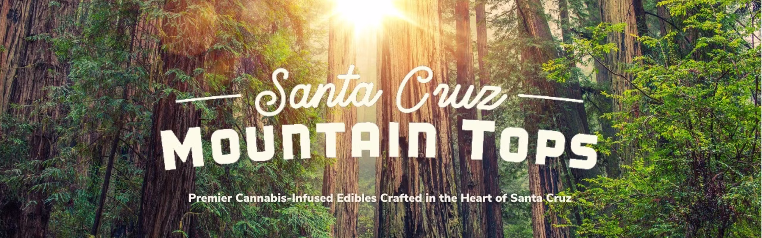 Santa Cruz Mountain Tops