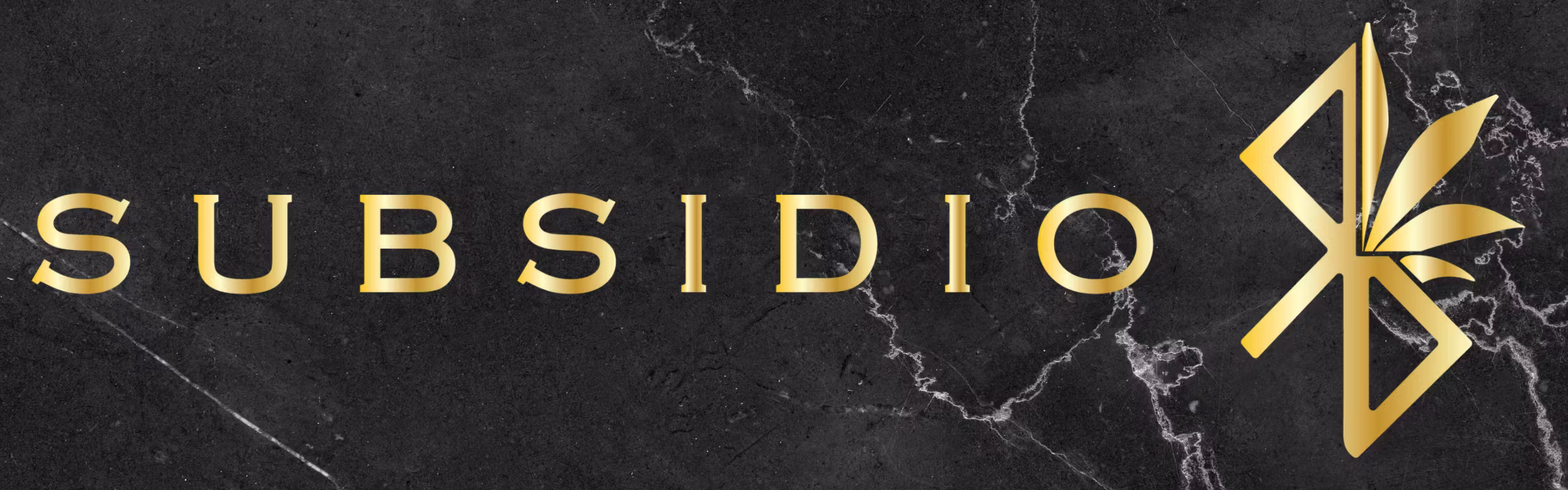 Subsidio