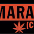 The Marathon Cultivation