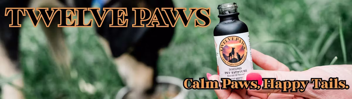 Twelve Paws