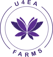 U4EA