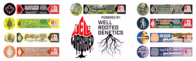 Well Washed Concentrate
