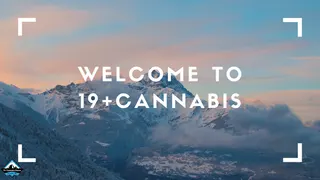 19+ Cannabis