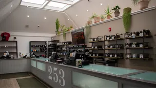 253 Farmacy