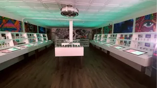 420 Oasis