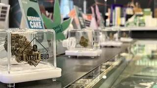 A Little Bud White Rock