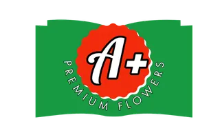 A+ Premium Flowers