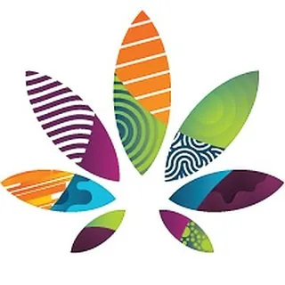 Ajoya Weed Dispensary Lakewood Rec
