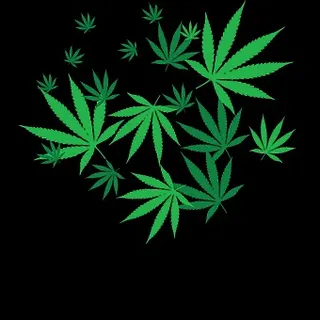 Amnesia Dispensary (Now Open