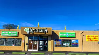 Amnesia Dispensary & Accessories (Med + Rec)