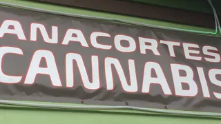 Anacortes Cannabis / Anacortes Natural Medicine
