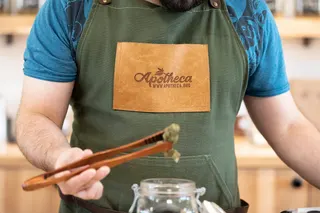 Apotheca Shelby