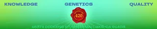Apothecary 420 Dispensary