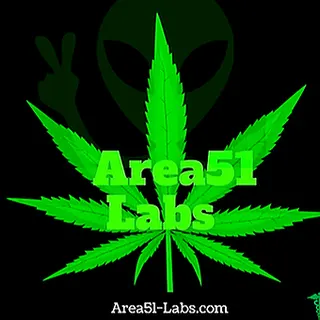 AREA51 LABS
