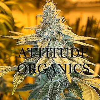 Attitude Organics