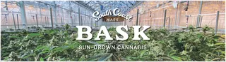 BASK- Medical Use