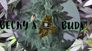 Becky’s Buds Delivery