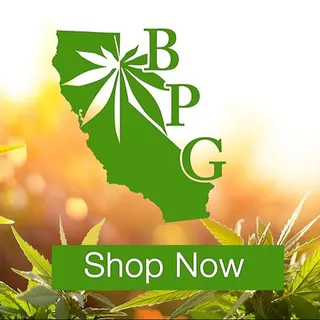 Berkeley Patients Group