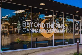 Beyond The Pines