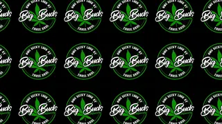 Big Buds Dispensary - Skiatook