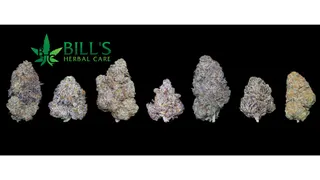Bill